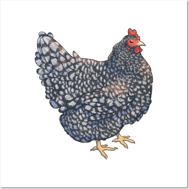 Barred Rock Chicken Illustration Wall Art by E. Leary Art